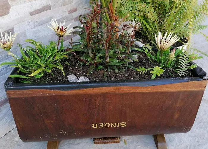 Mareli Къща за гости